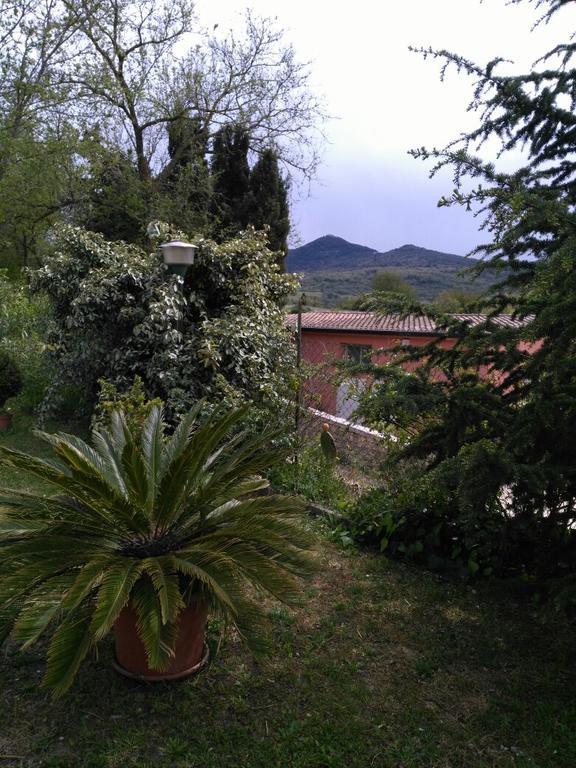 Agriturismo Usurtala Orani Экстерьер фото